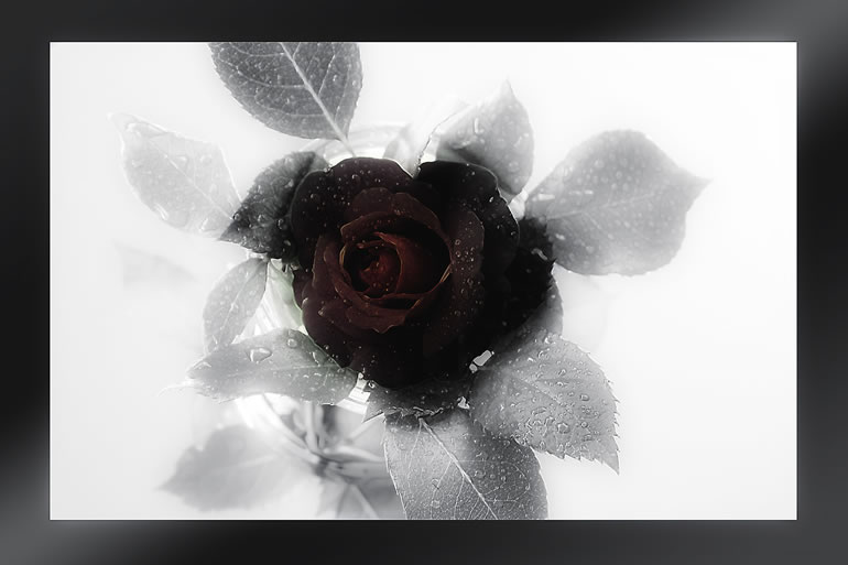 blog-post